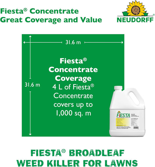 Fiesta Weed Killer 4L