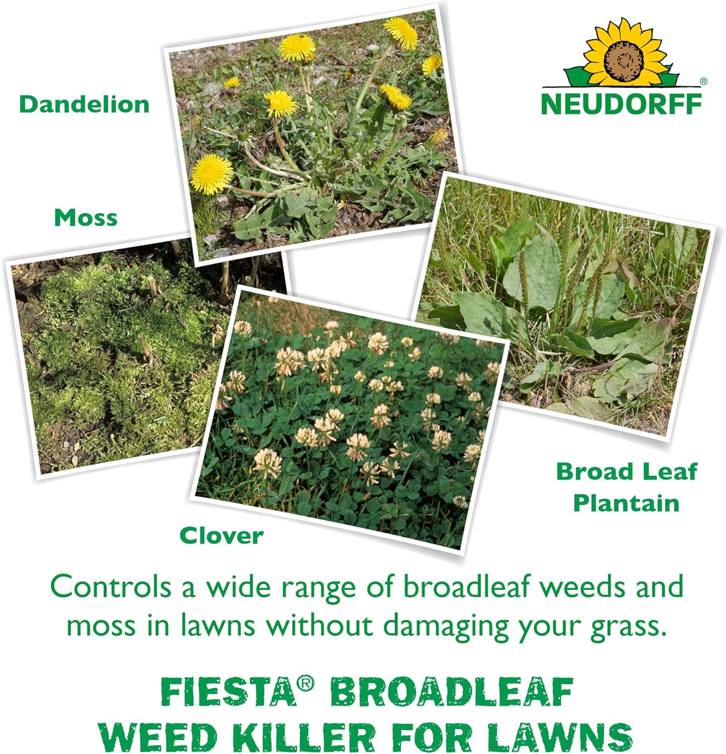 Fiesta Weed Killer 4L