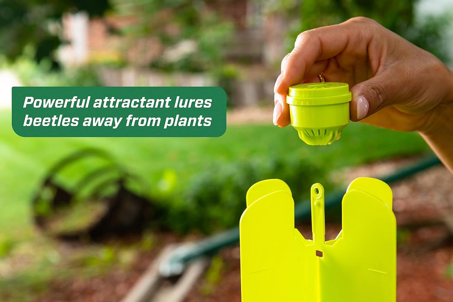 Rescue Japanese Beetle Trap with Attractant