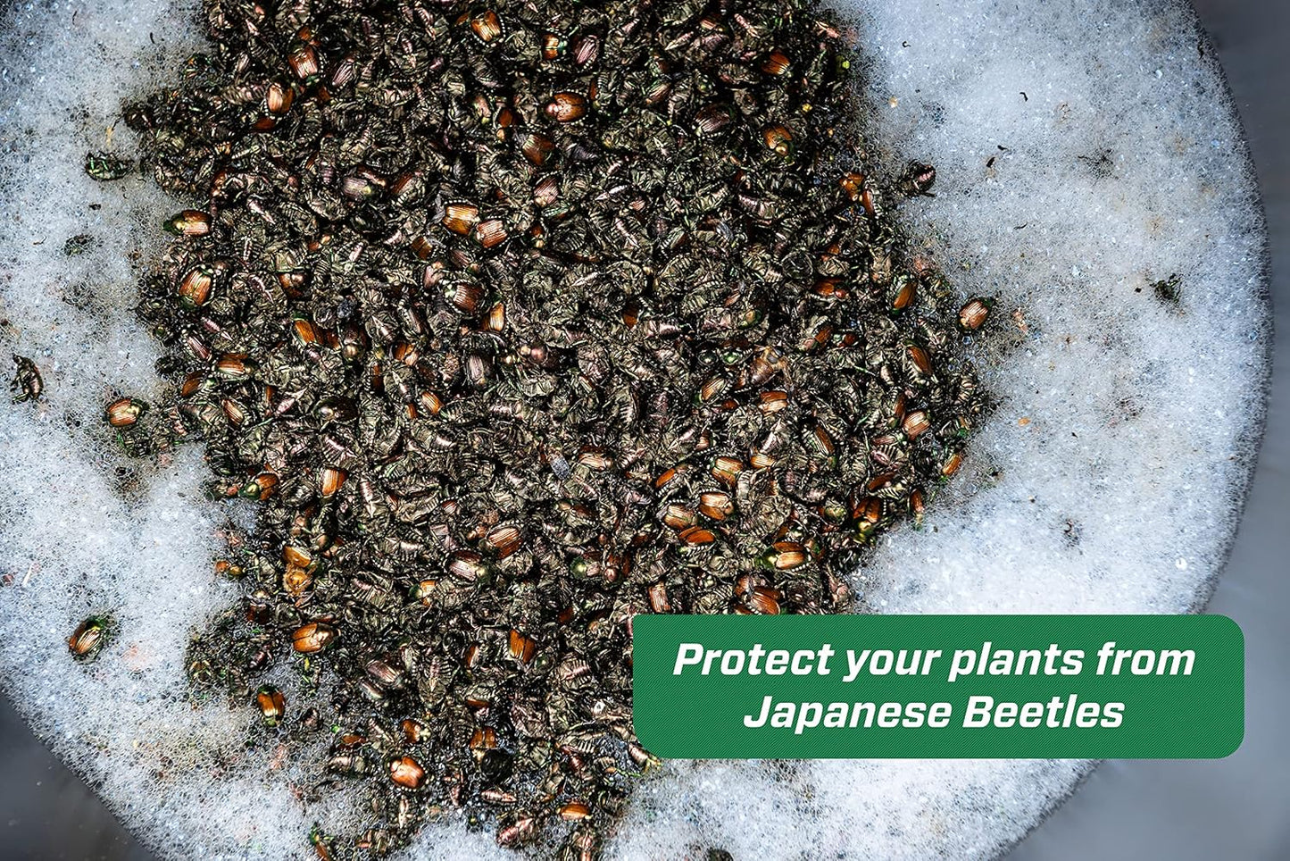 Rescue Japanese Beetle Trap with Attractant