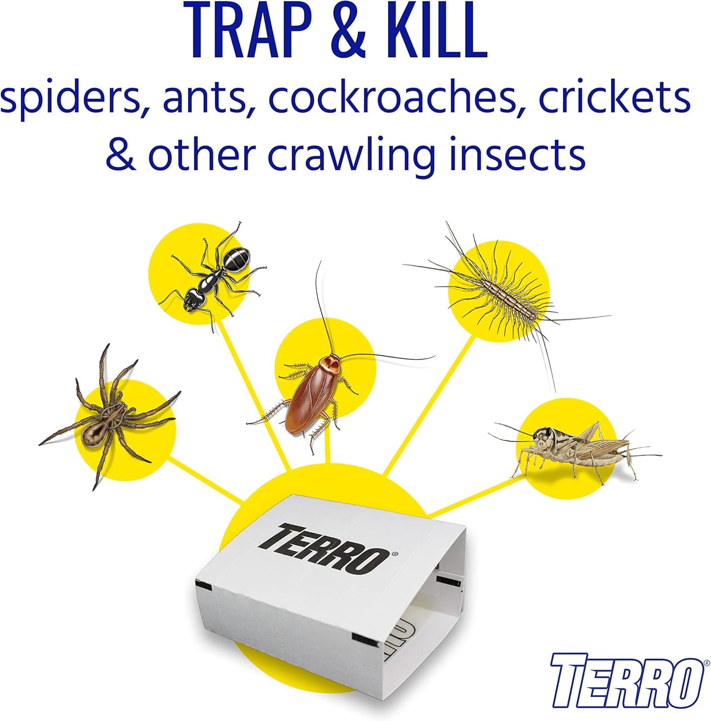Terro Spider and Household Insect Traps Pack of 3 12 Traps
