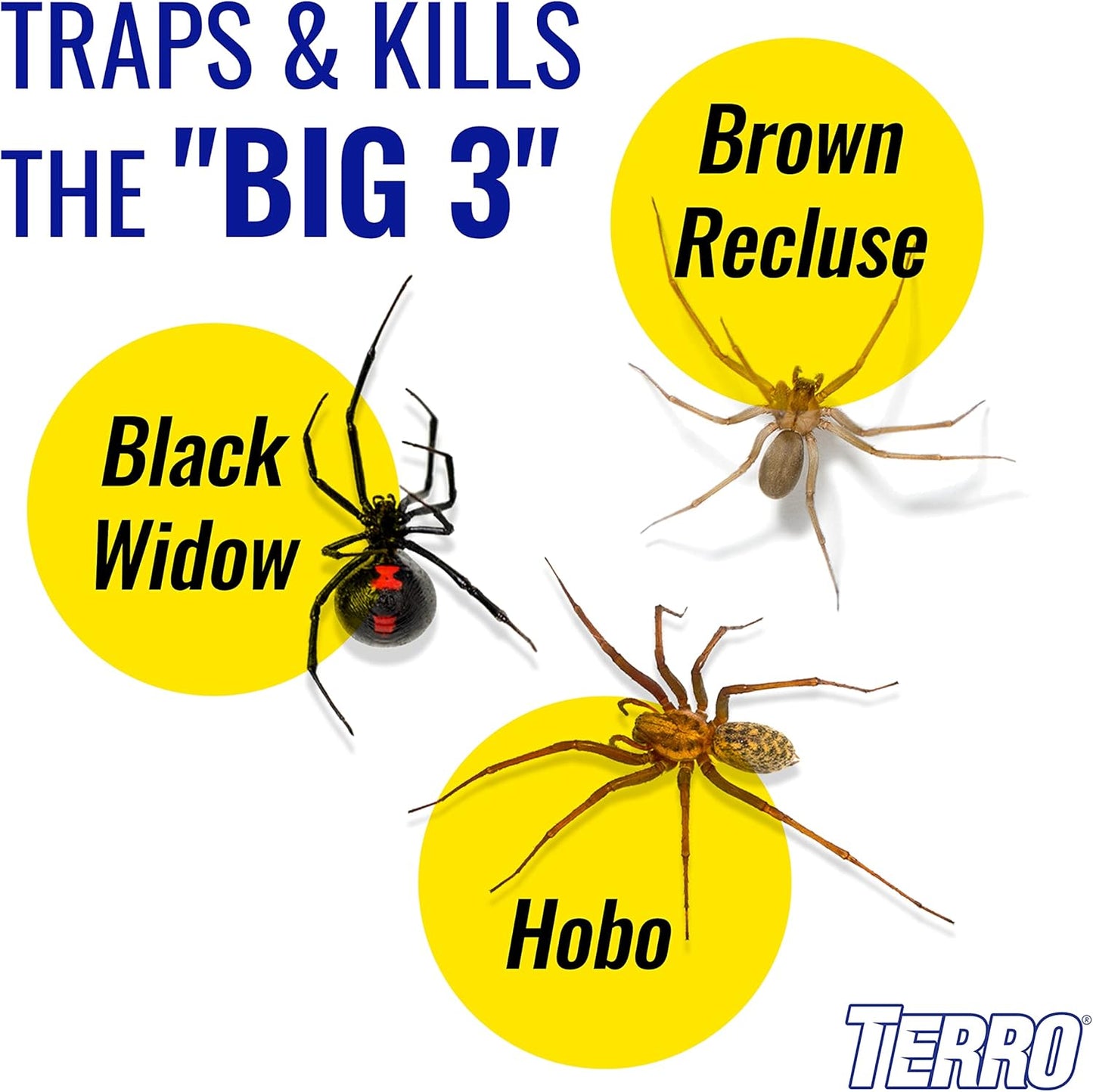 Terro Spider and Household Insect Traps Pack of 3 12 Traps