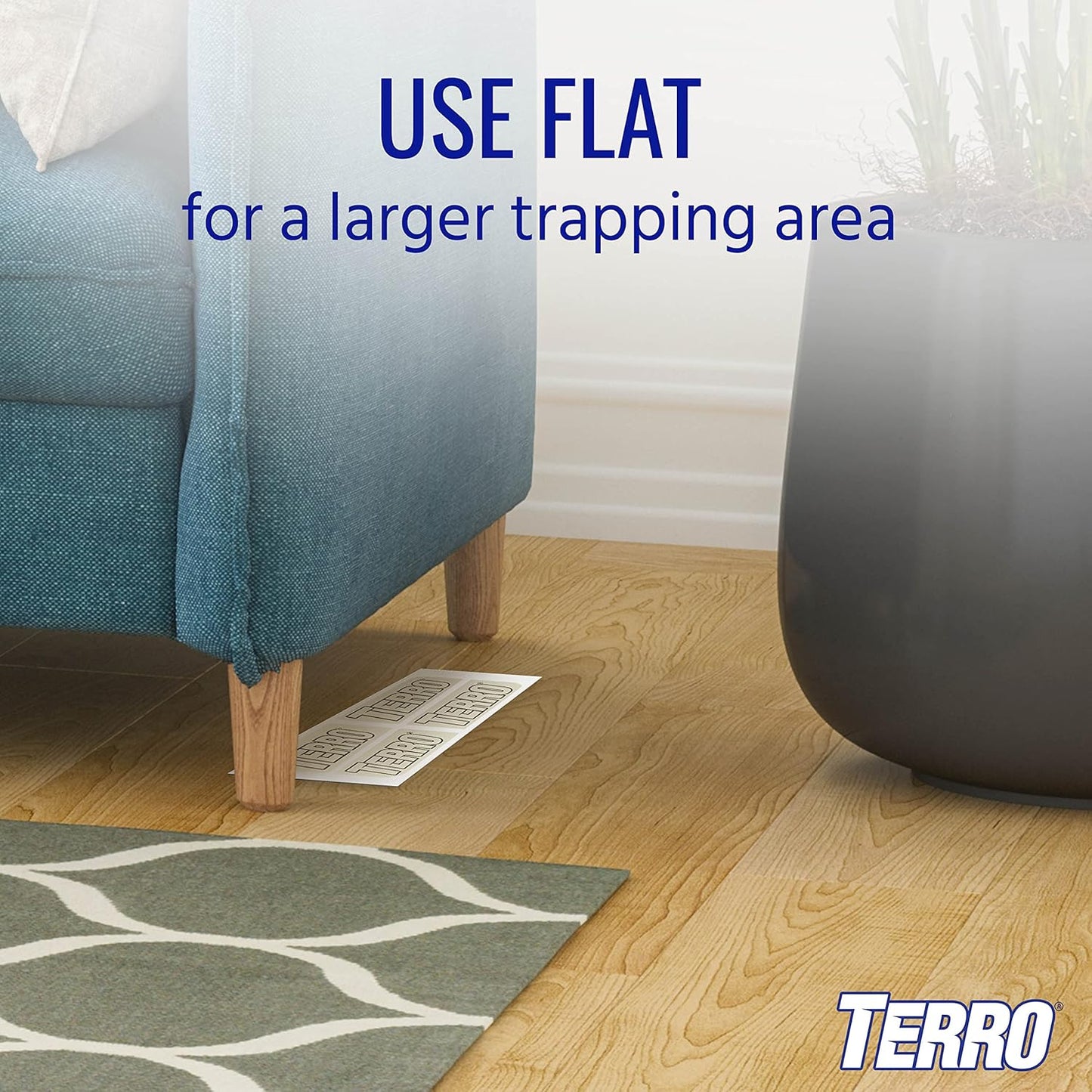 Terro Spider and Household Insect Traps Pack of 3 12 Traps