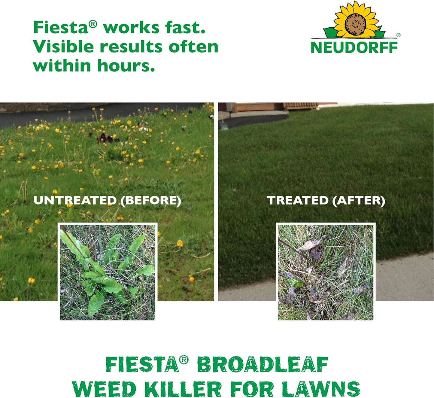 Fiesta Weed Killer 4L