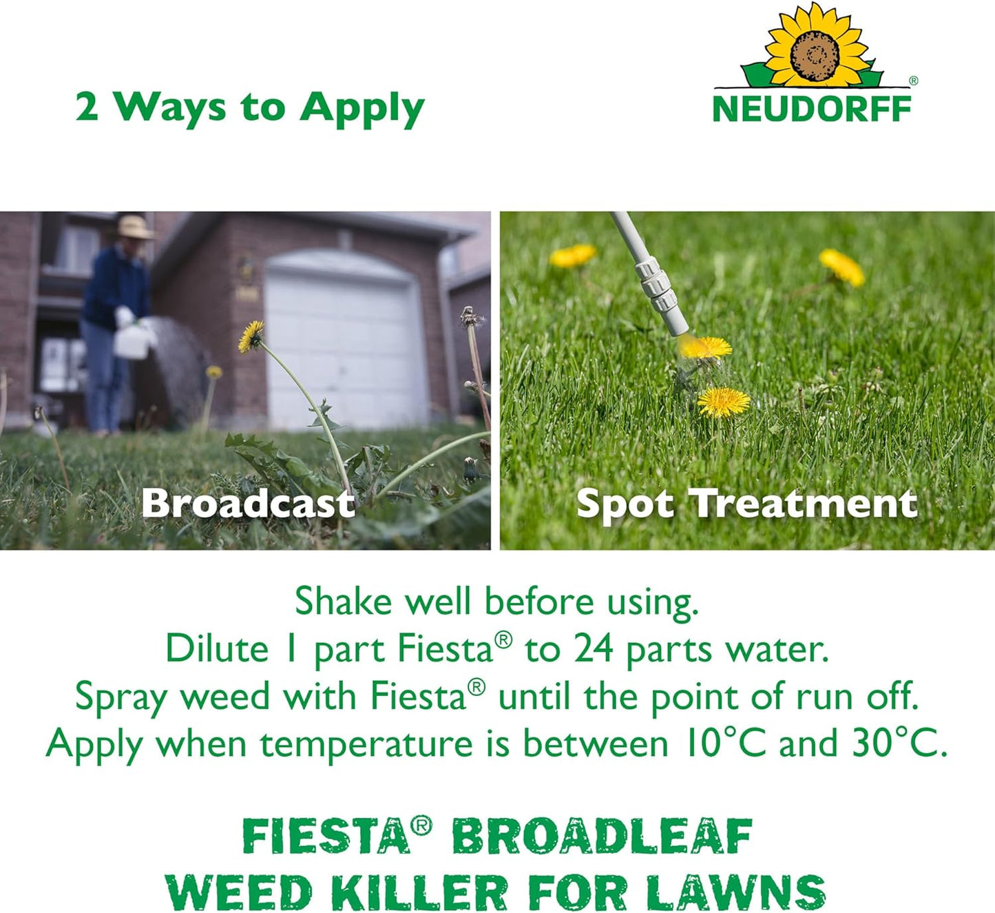 Fiesta Weed Killer 4L